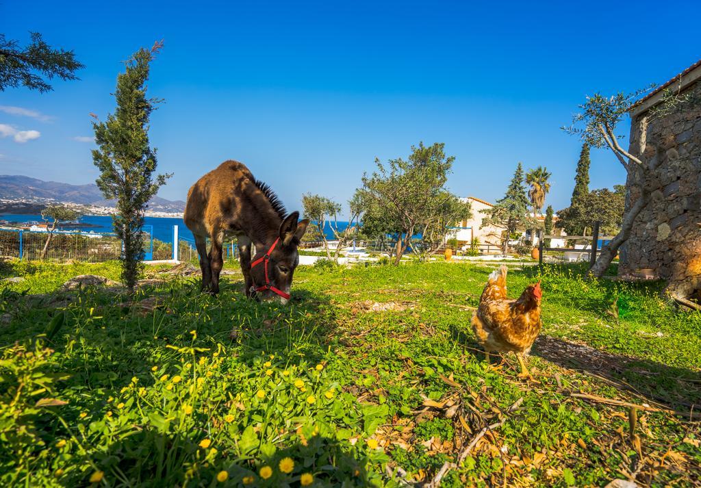 Panorama Villas Agios Nikolaos Esterno foto